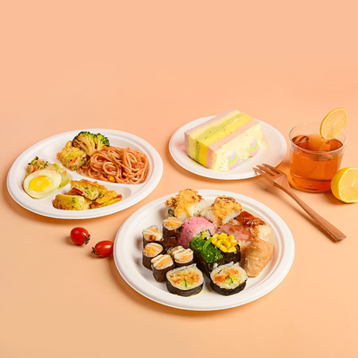 Disposable Degradable Pulp Plate Bowl Lunch Box 9 Inch Sugarcane Paper Plate
