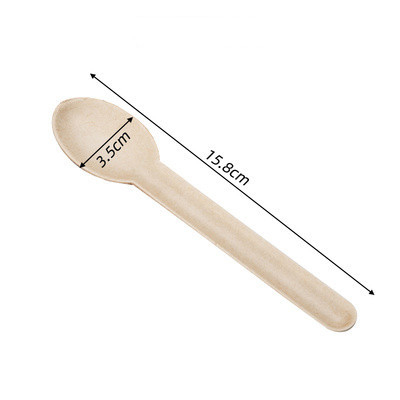 Biodegradable Sugarcane Bagasse Cutlery Disposable Spoon 6.2 inch
